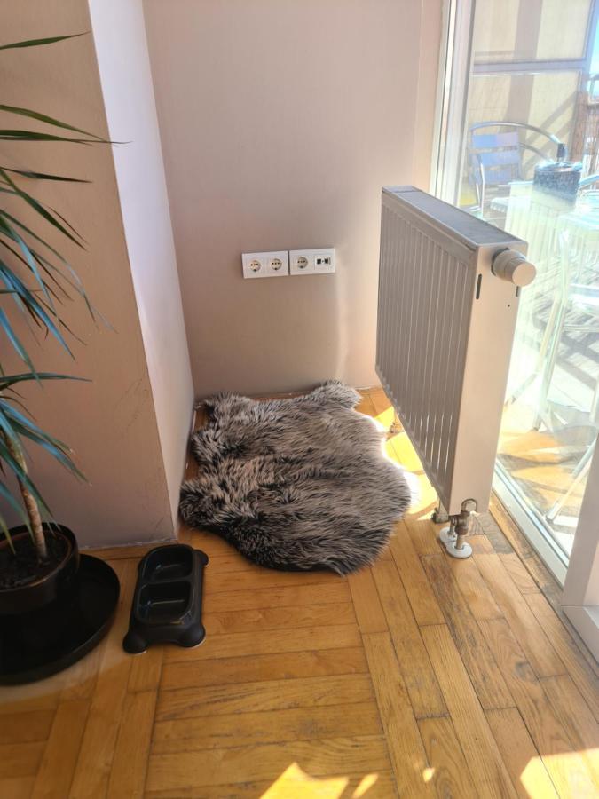 Apartman *Joy* Όσιγιεκ Εξωτερικό φωτογραφία