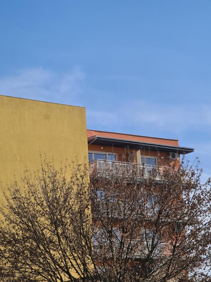 Apartman *Joy* Όσιγιεκ Εξωτερικό φωτογραφία